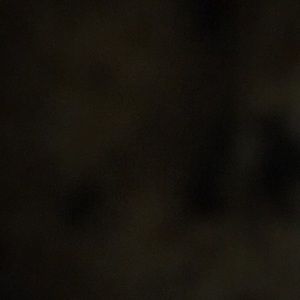 Meet your Posher, Maya